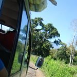 minibus Bondowoso - Sempol